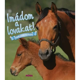 Imádom a lovakat! Több mint 50 fajta