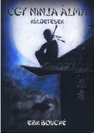 Egy ninja álma - Küldetések