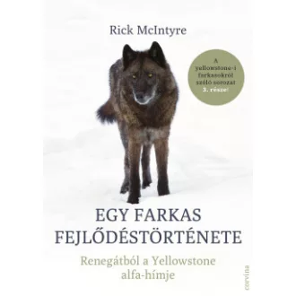Rick McIntyre - Egy farkas fejlődéstörténete