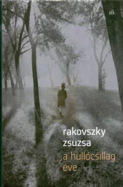 A hullócsillag éve