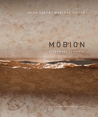 Möbion - Szobor, kép és regény