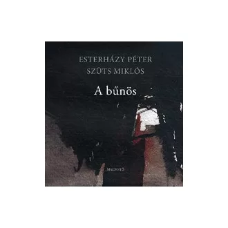A bűnös
