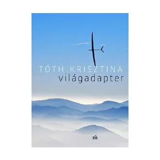 Világadapter