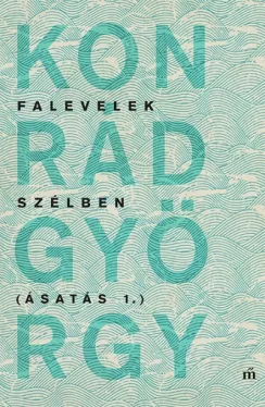 Falevelek szélben - Ásatás 1.