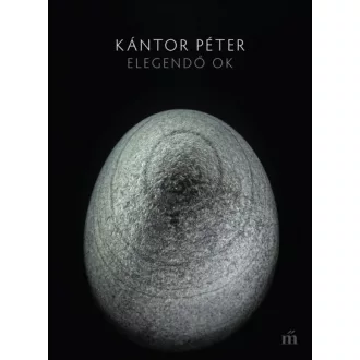 Elegendő ok