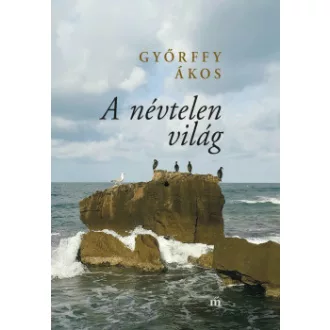 Győrffy Ákos - A névtelen világ