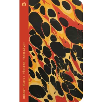Robert Musil - Törless iskolaévei