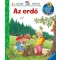 Az erdő - MIT? MIÉRT? HOGYAN? MINI 6.