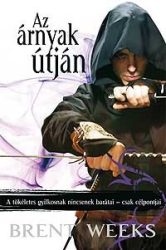 Az árnyak útján - Éjangyal trilógia 1.