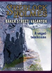   A végső találkozás - Sherlock Holmes és a Baker Streeti Vagányok 4.