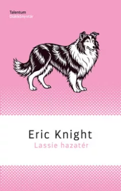 Lassie hazatér