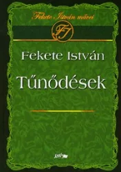 Tűnődések