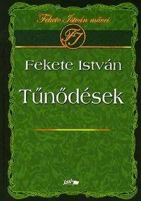 Tűnődések