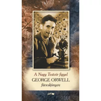 A Nagy Testvér figyel - George Orwell füveskönyve