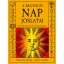 A ragyogó nap jóslatai