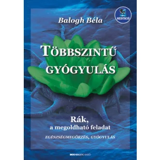 Többszintű gyógyulás - letölthető mp3-melléklettel