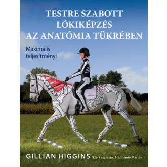 Testre szabott lókiképzés az anatómia tükrében
