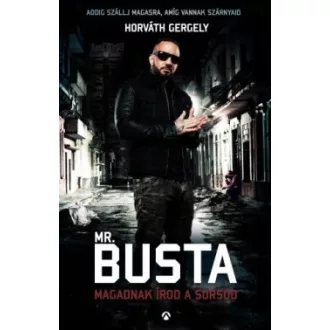 Mr. Busta - Magadnak írod a sorsod