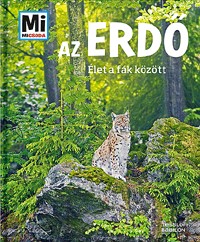 Az erdő - Élet a fák között