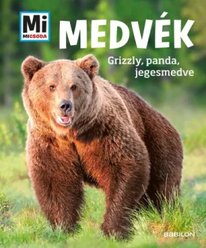 Medvék - Grizzly, panda, jegesmedve - Mi Micsoda