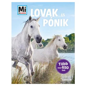 Lovak és pónik - Mi Micsoda