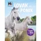 Lovak és pónik - Mi Micsoda