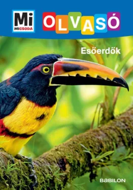 Esőerdők - Mi Micsoda Olvasó