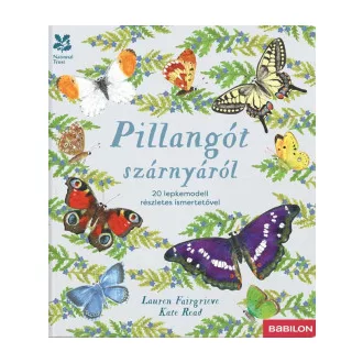 Pillangót szárnyáról