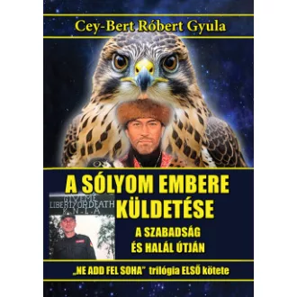 A sólyom embere küldetése