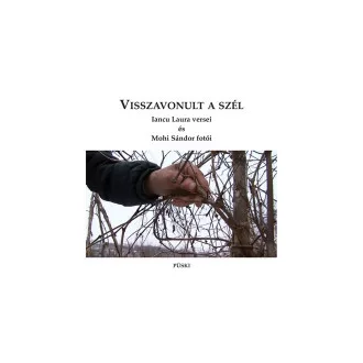 Iancu Laura - Visszavonult a szél