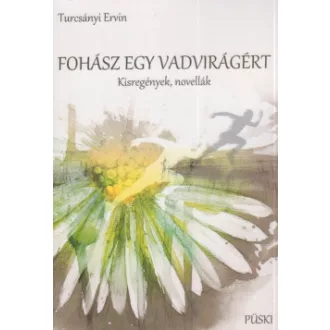 Turcsányi Ervin - Fohász egy vadvirágért