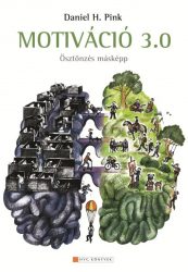 Motiváció 3.0 - Ösztönzés másképp
