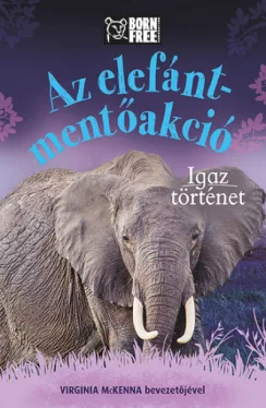 Az elefánt-mentőakció - Igaz történet