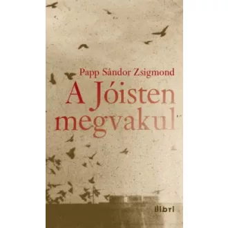 A Jóisten megvakul
