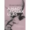 Polányi Károly - A nagy átalakulás