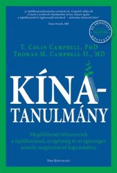Kína-tanulmány