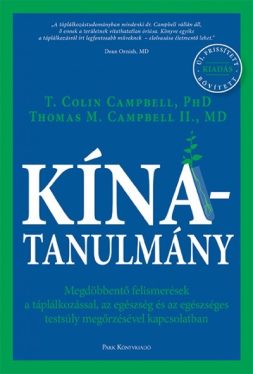 Kína-tanulmány