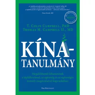 Kína-tanulmány