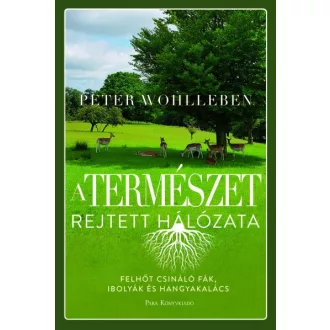A természet rejtett hálózata