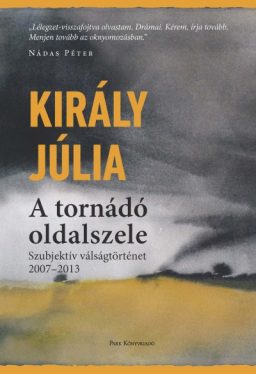 A tornádó oldalszele - Szubjektív válságtörténet 2007-2013