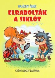 Elrabolták a siklót