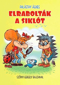 Elrabolták a siklót