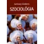 Szociológia