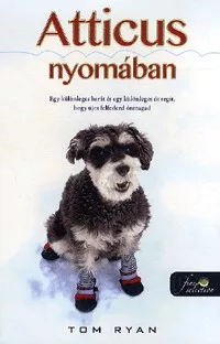 Atticus nyomában