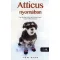 Atticus nyomában