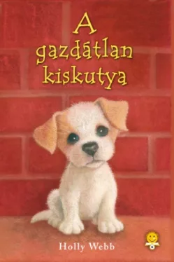 A gazdátlan kiskutya - puha kötés