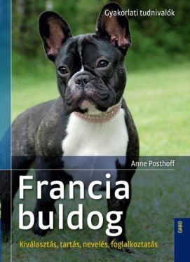 Francia buldog - Kiválasztás, tartás, nevelés, foglalkoztatás