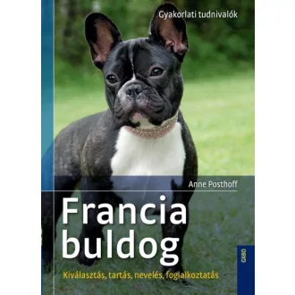   Francia buldog - Kiválasztás, tartás, nevelés, foglalkoztatás