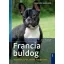 Francia buldog - Kiválasztás, tartás, nevelés, foglalkoztatás