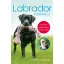 Labrador kézikönyv